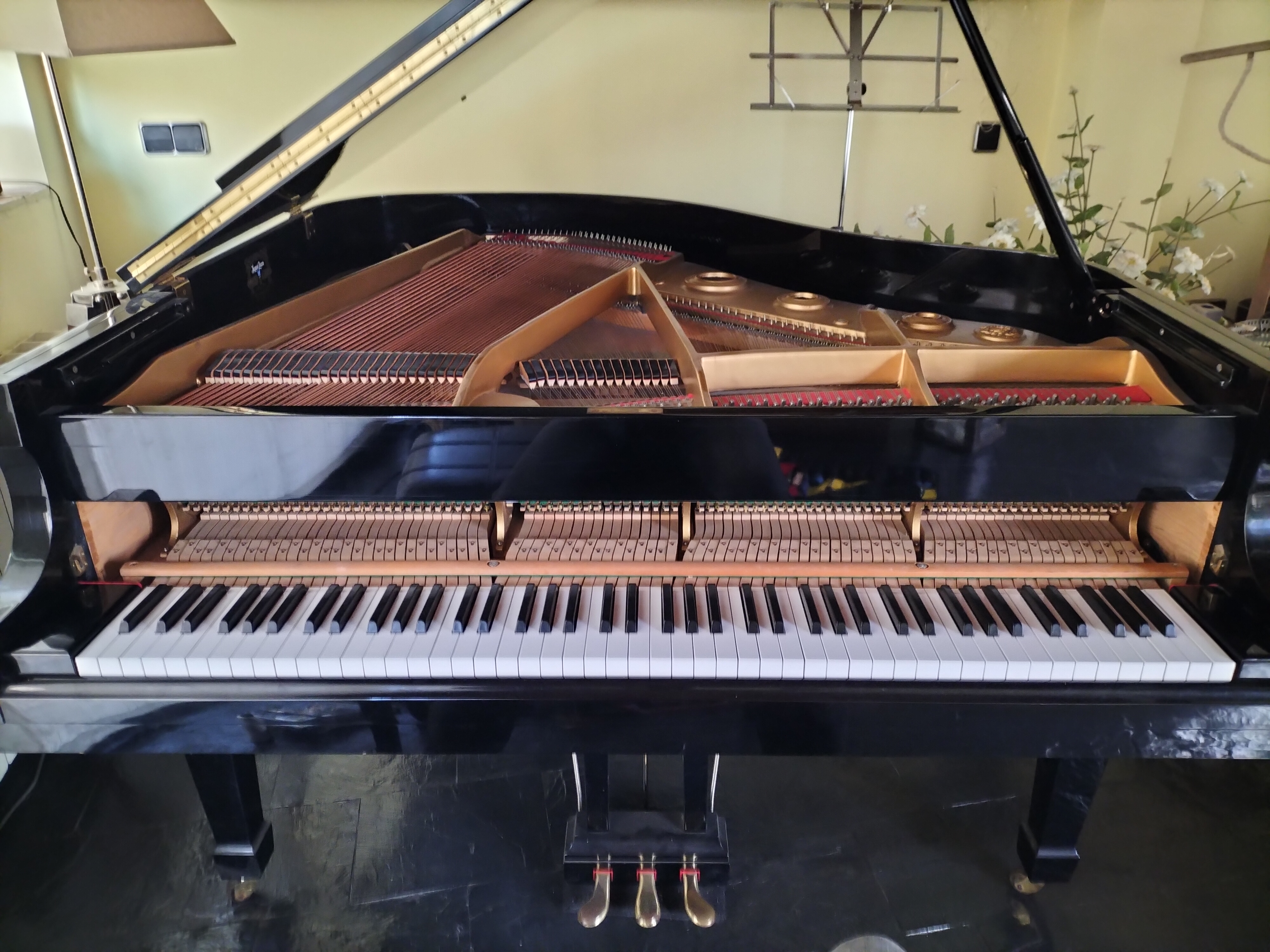 Piano de cua obert mostrant les cordes i mecanisme intern